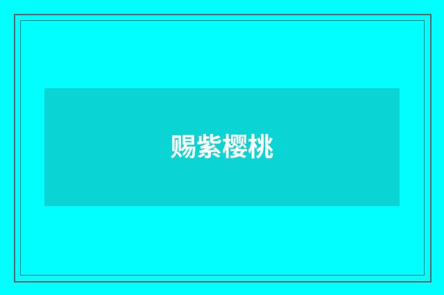 赐紫樱桃