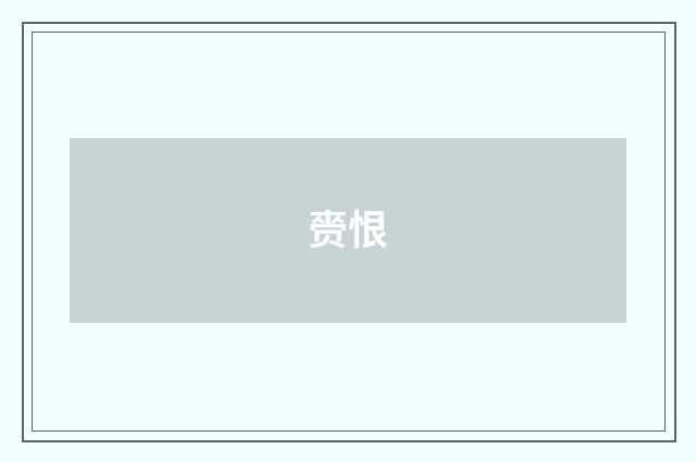 赍恨