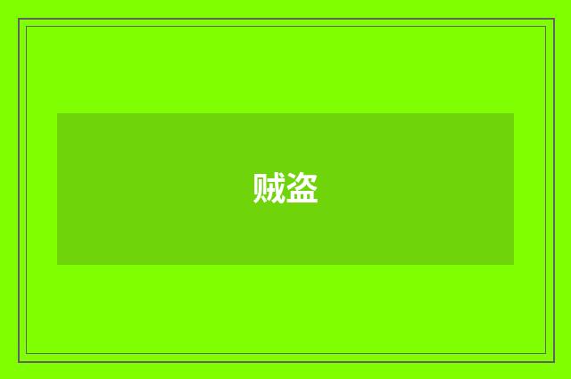 贼盗
