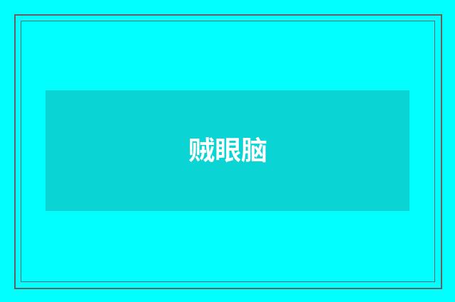 贼眼脑