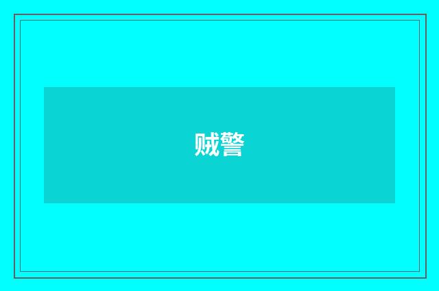 贼警