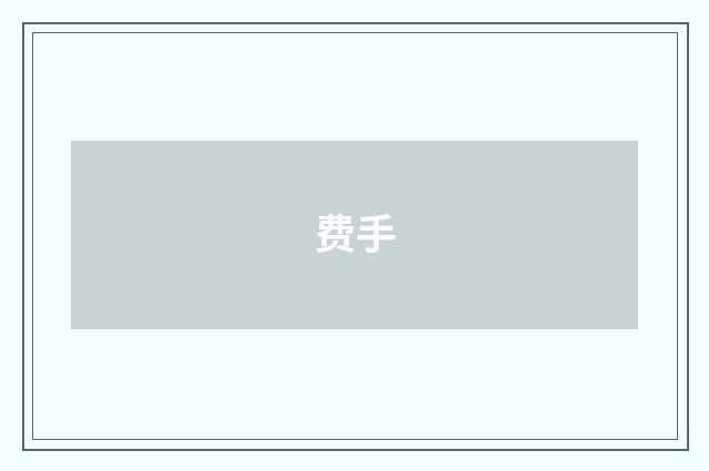 费手
