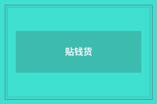贴钱货