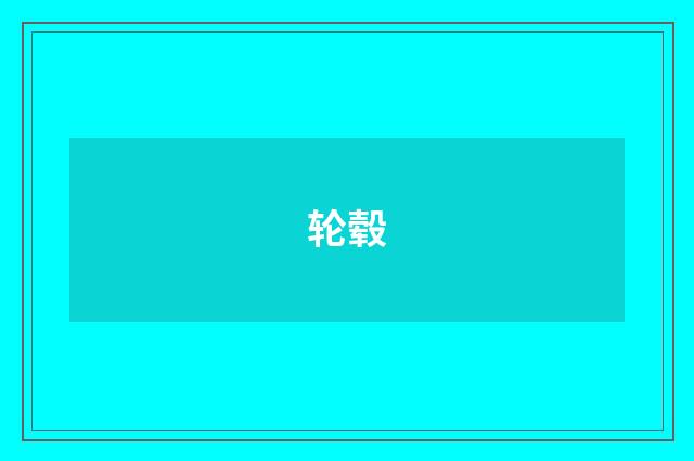 轮毂