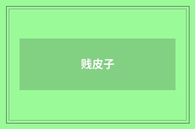 贱皮子