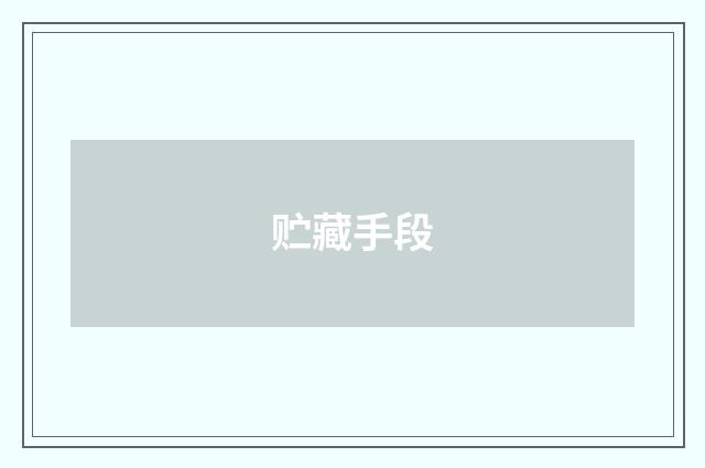贮藏手段
