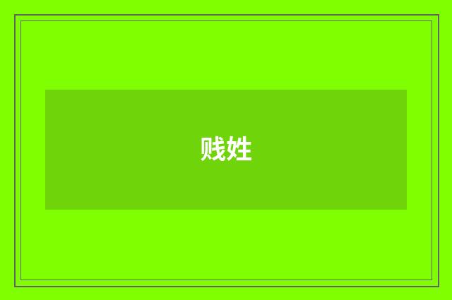 贱姓