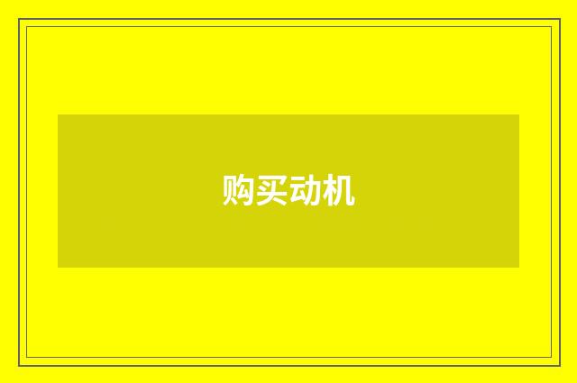 购买动机