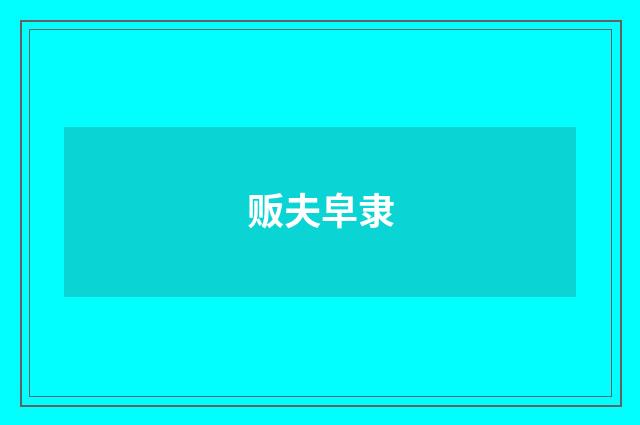 贩夫皁隶