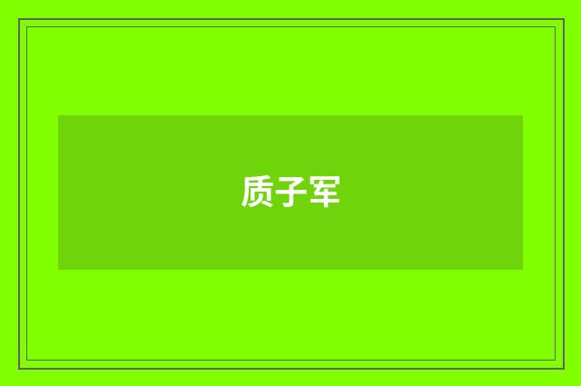 质子军