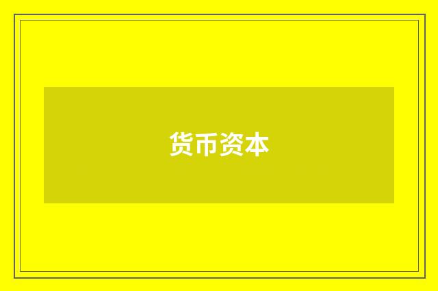 货币资本