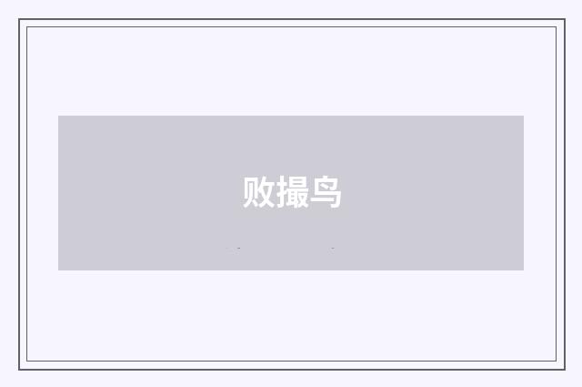 败撮鸟