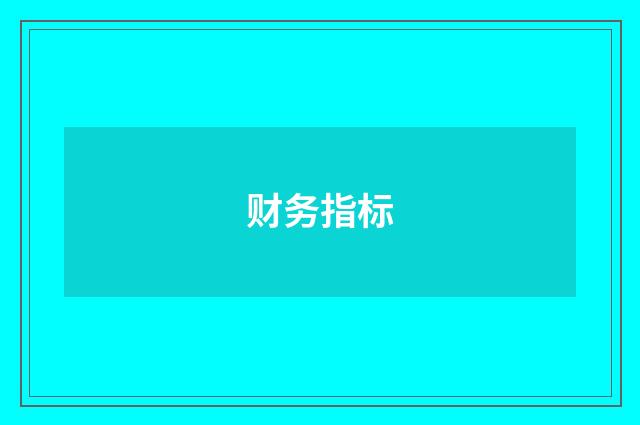财务指标