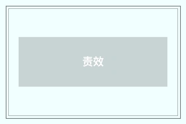 责效