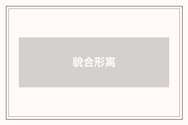 貌合形离