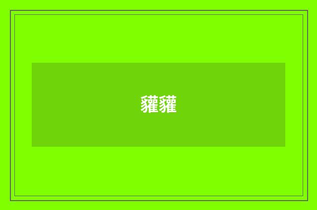 貛貛