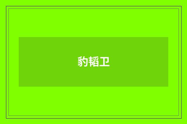 豹韬卫