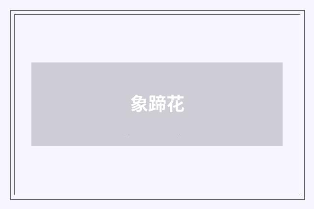 象蹄花