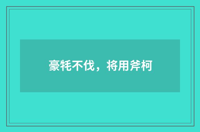 豪牦不伐，将用斧柯