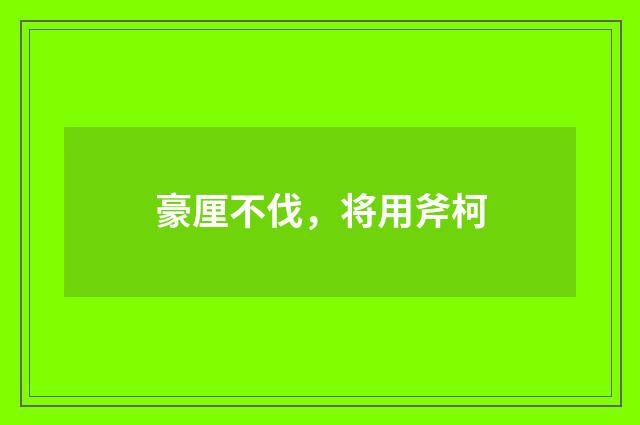 豪厘不伐，将用斧柯