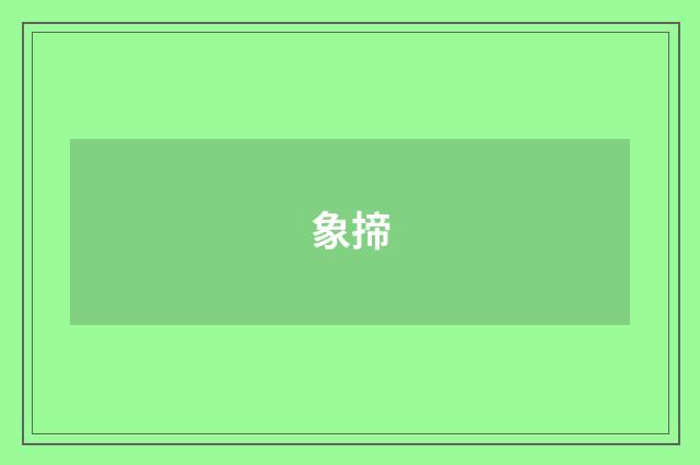 象揥
