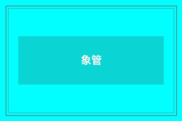 象管