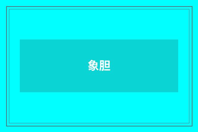 象胆