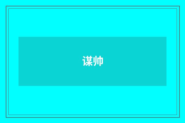 谋帅