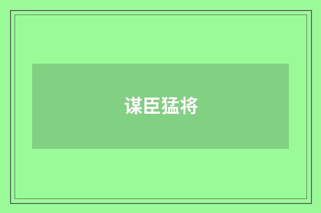 谋臣猛将