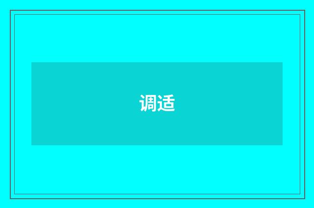 调适