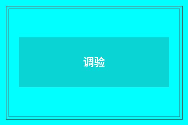 调验
