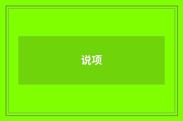 说项