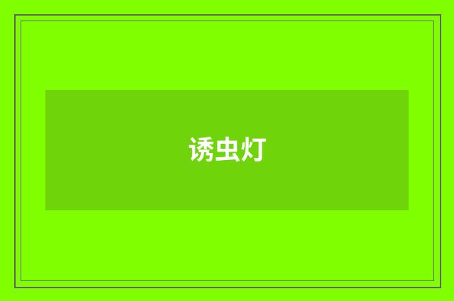 诱虫灯