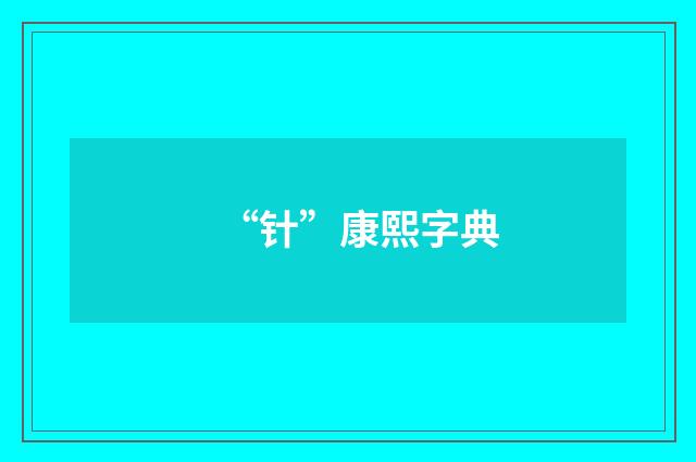 “针”康熙字典