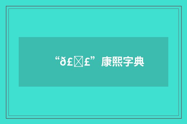 “𣊣”康熙字典