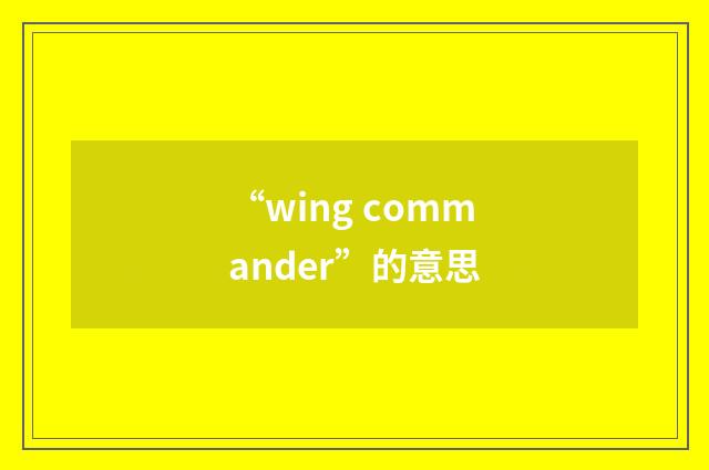 “wing commander”的意思