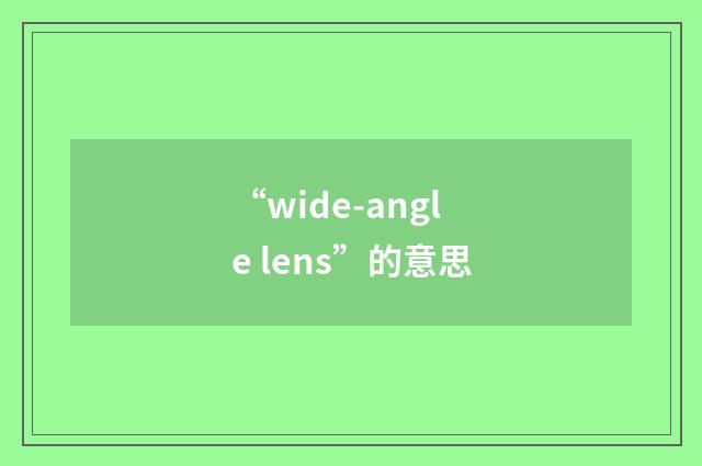 “wide-angle lens”的意思
