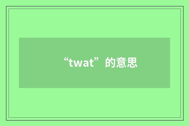 “twat”的意思