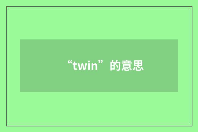 “twin”的意思