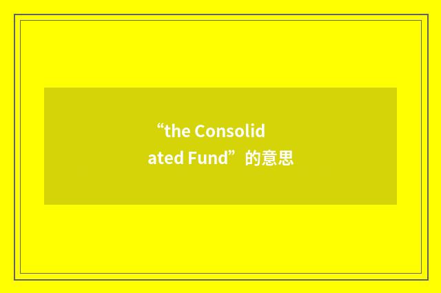 “the Consolidated Fund”的意思