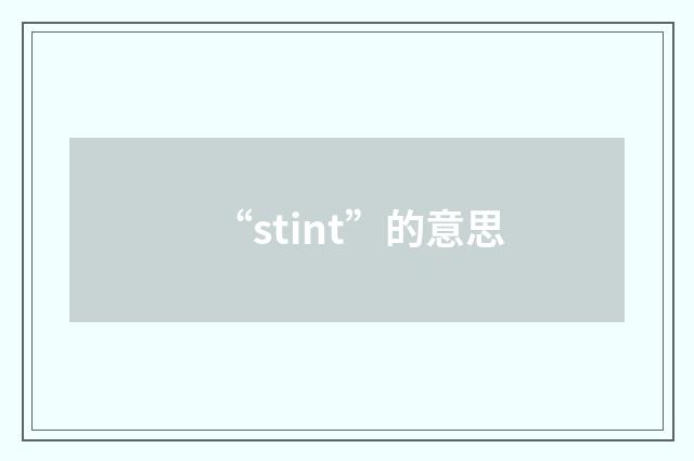“stint”的意思