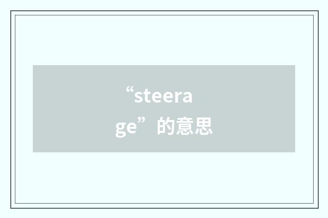 “steerage”的意思
