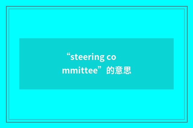 “steering committee”的意思