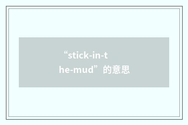 “stick-in-the-mud”的意思
