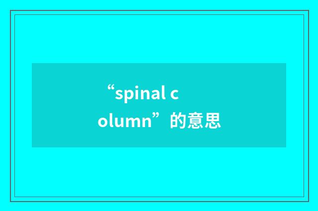 “spinal column”的意思