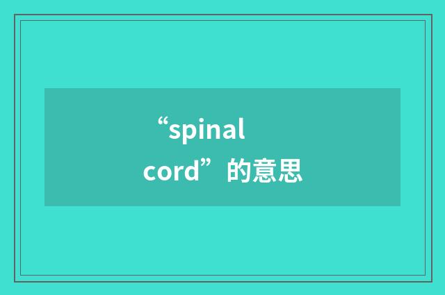 “spinal cord”的意思