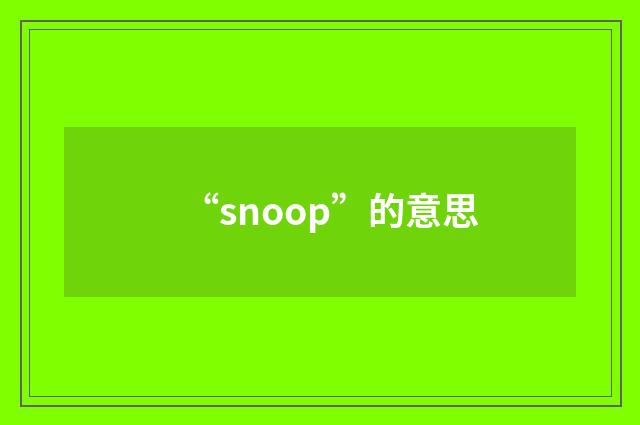 “snoop”的意思