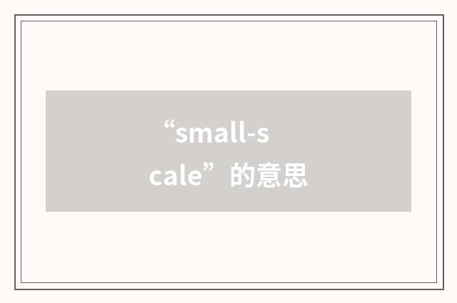 “small-scale”的意思