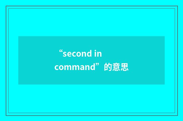 “second in command”的意思