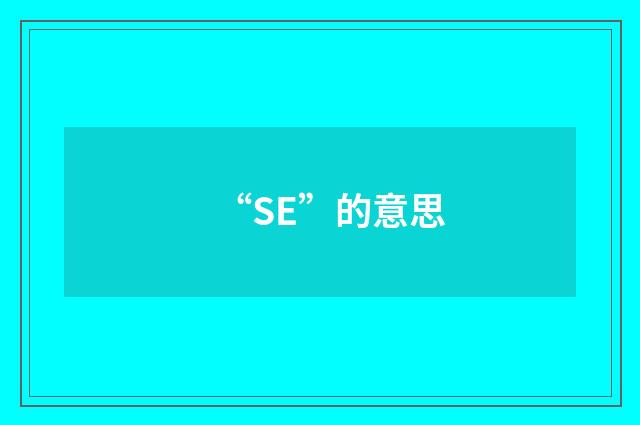 “SE”的意思